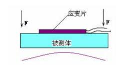 20.jpg 20.jpg